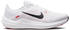 Nike Winflo 10