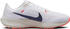Nike Pegasus 40