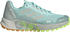 Adidas Terrex Agravic Flow 2.0 Gore-Tex Women