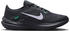 Nike Winflo 10