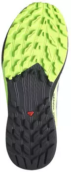 Salomon Sense Ride 5 GTX (L47312800) grey/green