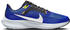 Nike Pegasus 40