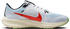 Nike Pegasus 40