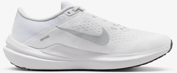 Nike Winflo 10 (DV4022-102) white/white/wolf grey