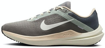 Nike Winflo 10 (FN7499) grey
