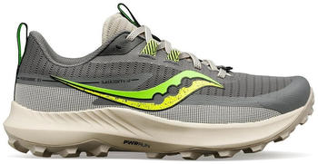 Saucony Peregrine 13 Women (S10838) gravel/slime