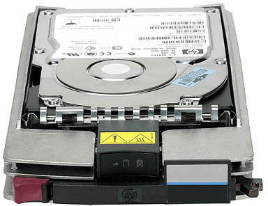 Hewlett-Packard HP StorageWorks FC EVA 450GB (AG804A)