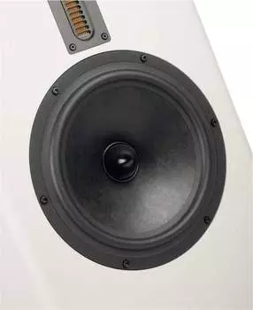 Variant Celine aktiv