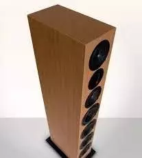 Pure Dynamics Ava