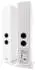 Argon Audio Forte Wifi A55