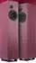 Ari Acoustics Concertino Herbie