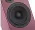 Ari Acoustics Concertino Herbie