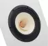 Stieb Audio Patos