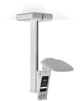 Flexson flxs1cm1011, Flexson Ceiling Mount for Sonos One & PLAY:1 (1 Stk.,