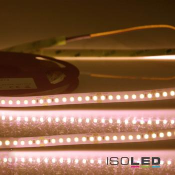ISOLED LED CRI Food Flexband Streifen Bread, 24V, 14,4W, IP54 Nano beschichtet, 130 LED/m