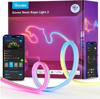 Govee H61D5301, Govee H61D5 Neonlichter 2 5m | LED-Beleuchtung | Matter, HomeKit,