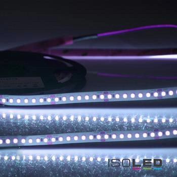 ISOLED LED CRI Food Flexband Streifen Fish 24V 14,4W IP54 Nano beschichtet 140 LED/m