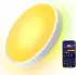Govee Ceiling Light Pro (H60A6C01)