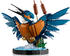 LEGO iCONS - Eisvogel (10331)