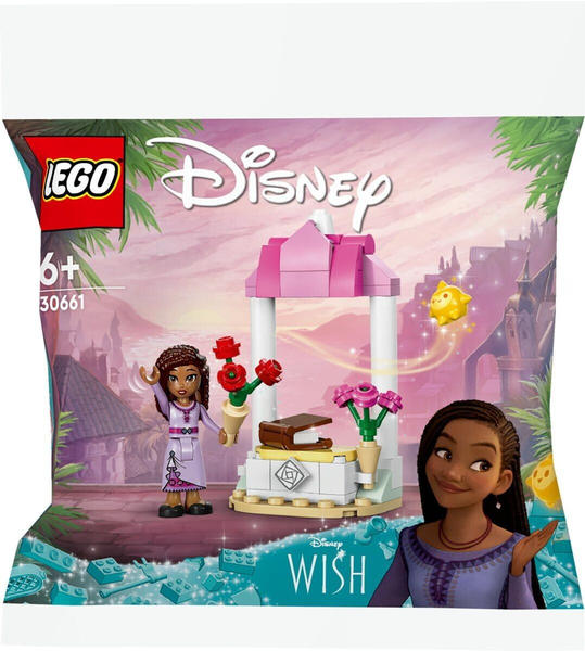 Tetsbericht LEGO Disney - Ashas Begrüßungsstand (30661)