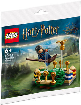 LEGO Harry Potter - Quidditch Training (30651)