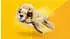 LEGO 31162
