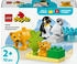 LEGO Duplo - Wildtier-Familien: Pinguine und Löwen (10442)