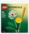 LEGO Botanicals Feldblumen (30701)