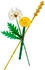 LEGO Botanicals Feldblumen (30701)