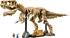 LEGO Jurassic World - Dinosaurier-Fossilien: Tyrannosaurus Rex (76968)