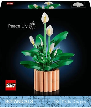 LEGO 11504