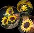 LEGO Botanicals -Sonnenblumen (11502)
