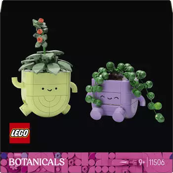 LEGO Botanicals Schaukelnde Pflanzen 11506