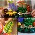 LEGO Botanicals - Waldpilze (11505)