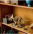 LEGO Jurassic World Dinosaurier-Fossilien: Triceratops 77985