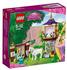 LEGO Disney Princess - Rapunzels perfekter Tag (41065)