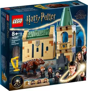 LEGO Harry Potter: Hogwarts: Begegnung mit Fluffy (76387)