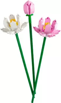 LEGO Botanical Collection - Lotusblumen (40647) LEGO Botanical Collection - Lotusblumen (40647)