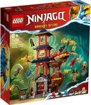 LEGO Ninjago - Tempel der Drachenpower (71795)