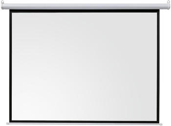 celexon ivolum Motorleinwand 200 x 200