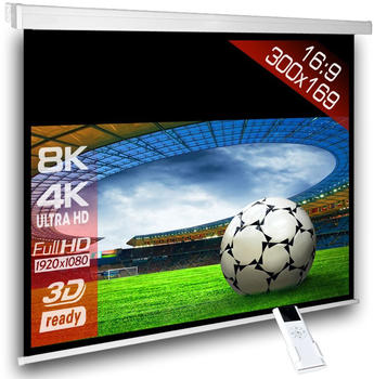 Alphavision Motorleinwand SlenderLine 300x169