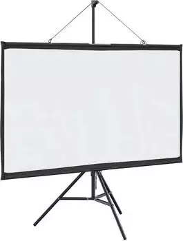 vidaXL Leinwand mit Stativ 50" 16:9 (4101045)