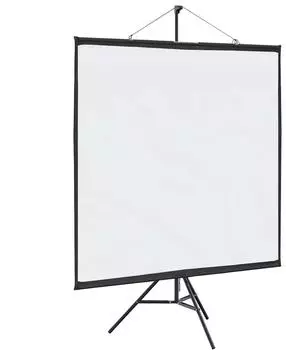 vidaXL Beamer-Leinwand mit Stativ 81 Zoll, 1:1 (4101055)