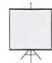 vidaXL Beamer-Leinwand mit Stativ 81 Zoll, 1:1 (4101055)