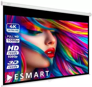 eSmart Germany Economy EXR Rollo-Leinwand 100x56cm 16:9 (183064469)