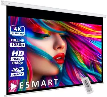eSmart Germany Economy EXM Motorleinwand 120x68cm 16:9 (179363498)