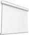 celexon Motor Expert Leinwand 200x200cm, 1:1 (1000009356)
