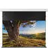 celexon 4K Pro MWHT Premium Plus 110″