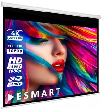eSmart Germany Economy EXR Rollo-Leinwand 120x90cm 4:3 (183064361)