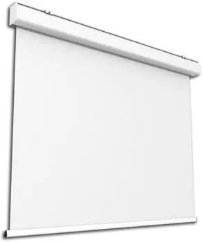 celexon Motor Expert Leinwand 1:1, 280x280cm (1000009359)